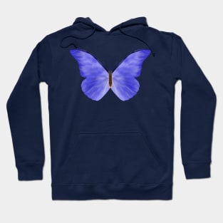 Blue Butterfly Hoodie